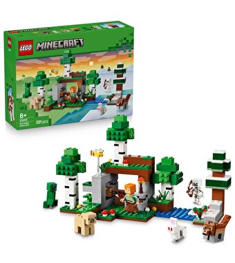 LEGO Minecraft İlk Gece Macerası 21593