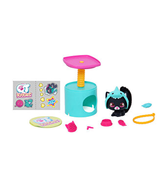 QT Kitties Ash Yavru Kedi