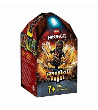 LEGO Ninjago Spinjitzu Patlaması Cole 70685