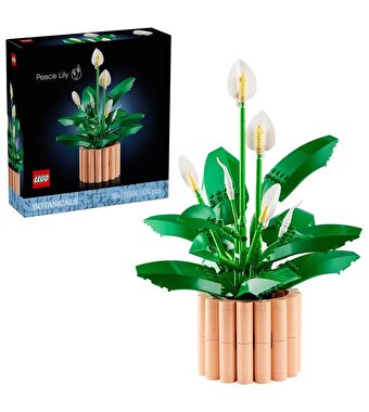 LEGO Botanicals Barış Çiçeği 11504