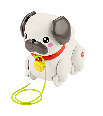 Fisher Price Sesli Minik Dostumla Yürüyüş HTW94