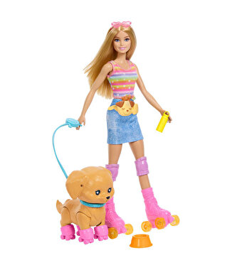 Barbie Pets Paten Macerası Bebek ve Sevimli Köpek Oyun Seti JMJ44