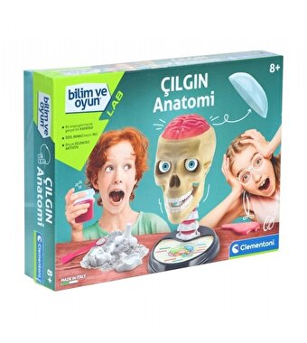 Bilim ve Oyun Çılgın Anatomi Beyin