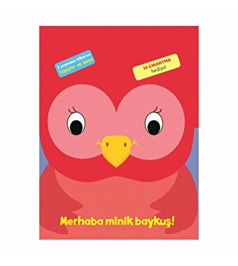 Merhaba Minik Baykuş
