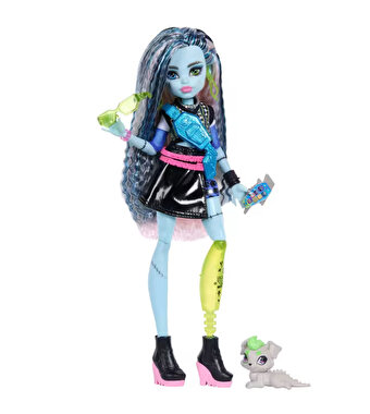 Monster High Ana Karakter Bebekler Frankiestein JHK31