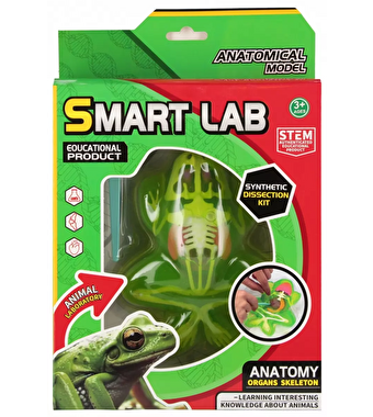 Kurbağa Laboratuvar Seti