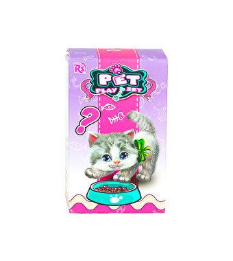 Evcil Hayvan Yavru Kedi Kulübeli Sürpriz Paket Oyun Seti