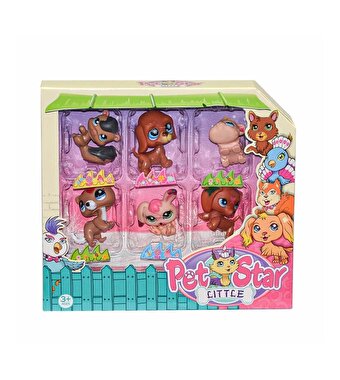 Kutuda 6'lı Miniş Seti 4