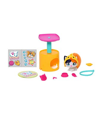 QT Kitties Oli Yavru Kedİ