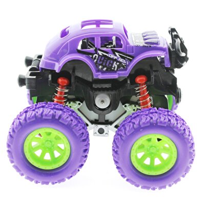 Sürtmeli Mor Zıppır