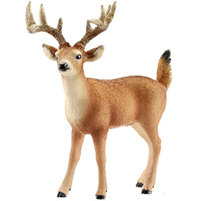 Schleich Beyaz Kuyruklu Geyik Erkek