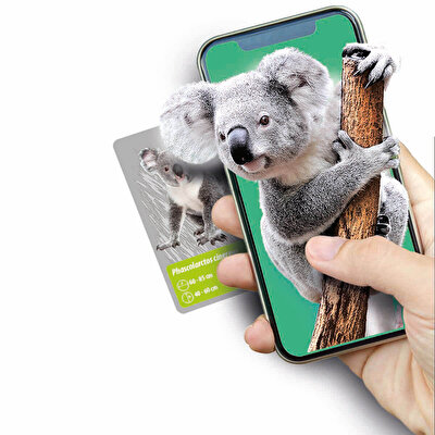 Clementoni Bilim ve Oyun: Dünyadaki Hayvanların Tarihi