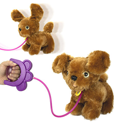 Sevimli Koşu Arkadaşım Golden