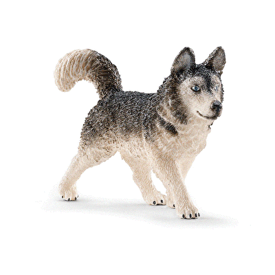 Schleich Husky