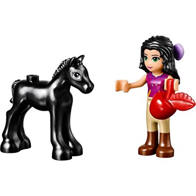 Lego Friends Tayın Yıkama İstasyonu 41123