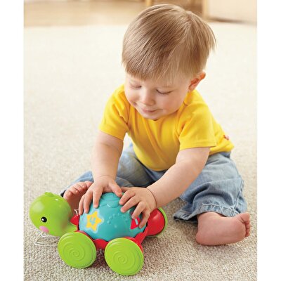 Fisher Price Çek Çek Kaplumbağa Y8652