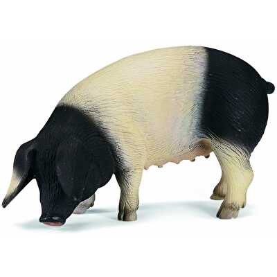 Schleich Yemek Yiyen Siyah Beyaz Domuz 13612