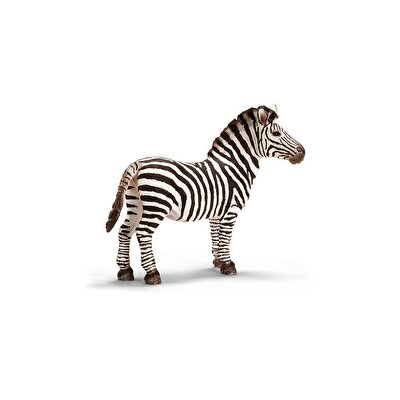 Schleich Zebra Erkek