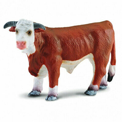 Collecta Hereford Sığırı