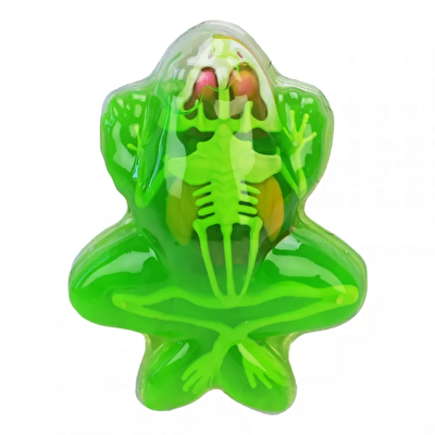 Kurbağa Laboratuvar Seti