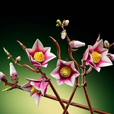 LEGO Botanicals Manolya Dalları 11510