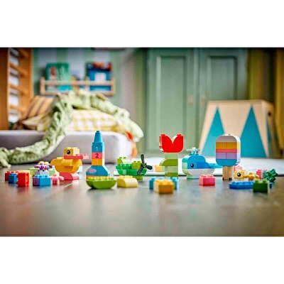 LEGO Duplo Renkli Yaratıcı Kutu 10479
