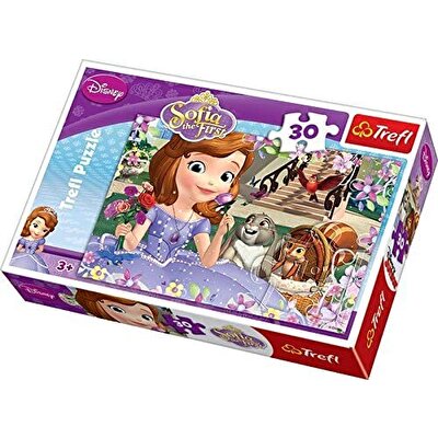 Disney Çocuk Puzzle 30 Parça Sofia The First Roses