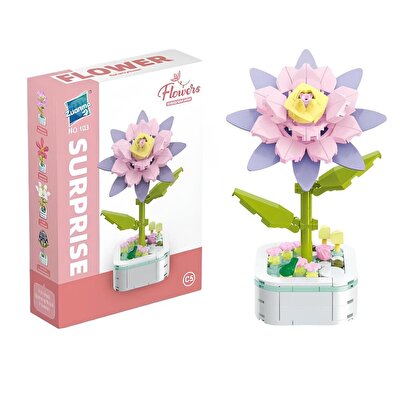 Saksıda Çiçek Yapım Seti Epiphyllum Cactus