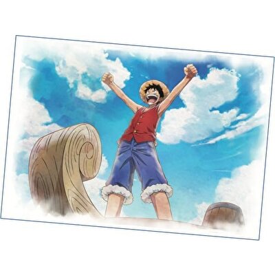 Panini One Piece 25. Yıl Dönümü Paketi