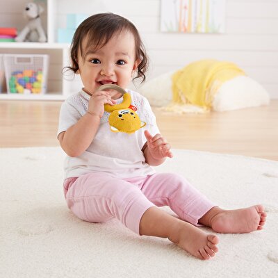 Fisher Price Örgü Dişlik Seti Ayı GRR05
