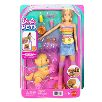 Barbie Pets Paten Macerası Bebek ve Sevimli Köpek Oyun Seti JMJ44