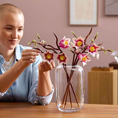 LEGO Botanicals Manolya Dalları 11510