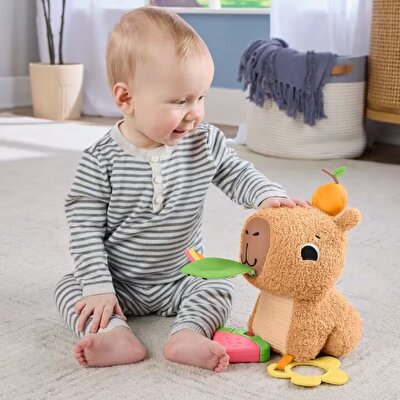 Fisher Price Cuddly Capybara HYR54