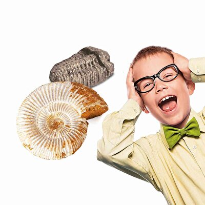 Clementoni Bilim ve Oyun - Paleo Seti