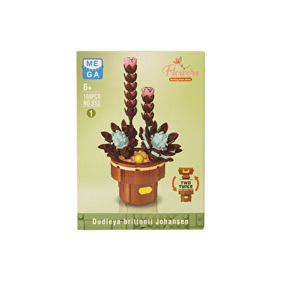 Mega Bitki Çiçekleri Sukulent 188 Parça