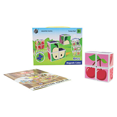 Manyetik 4 Parça Zeka Küpleri