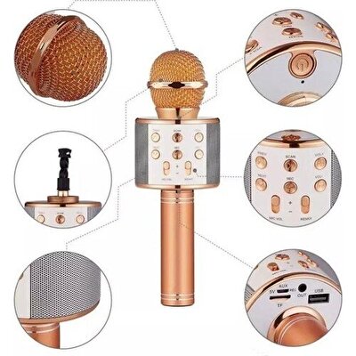 Handheld Ktv Karaoke Mikrofon Rose Gold WS-858