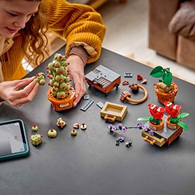LEGO Harry Potter Hogwarts Bitkibilim Bitkileri 76474