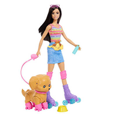 Barbie Paten Eğlencesi ve Sevimli Köpek Oyun Seti JMJ45