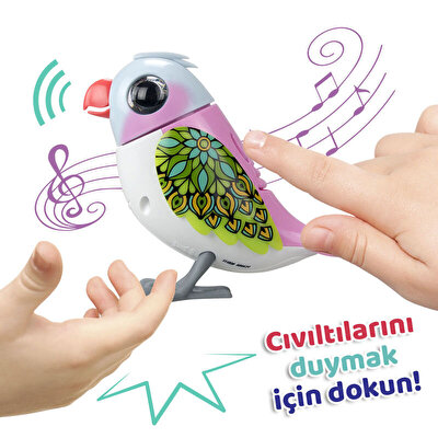 Digibirds Tekli Paket Seri 2 Pembe Beyaz