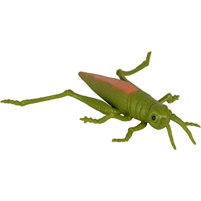 Stretch Hayvanlar Çekirge