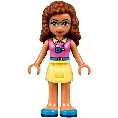 LEGO® Friends Arkadaşlık Evi