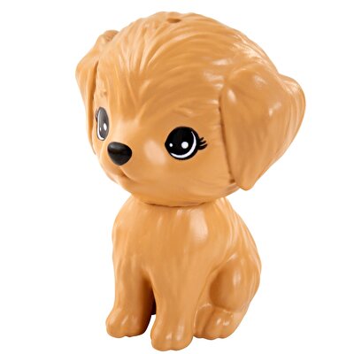 Barbie ve Chelsea Kayıp Doğum Günü Bebek ve Aksesuarları Serisi GRT87