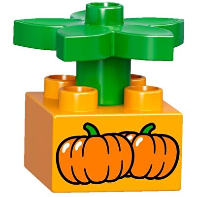 LEGO® Duplo Push Train
