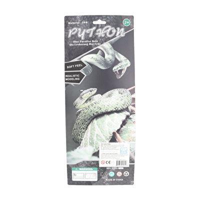 Strech Sırtlı Çıngıraklı Yılan