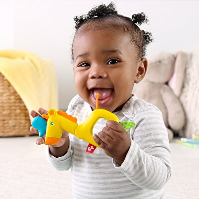 Fisher Price Sevimli Dostlar Dişlik ve Çıngıraklar Zürafa (GGF05)