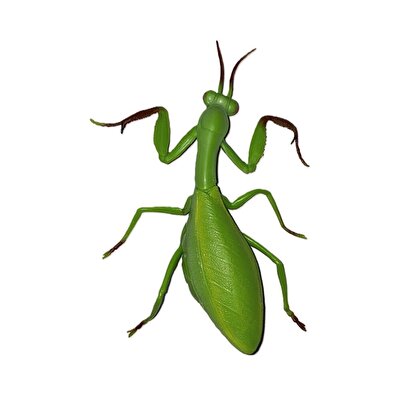 Stretch Çekirge