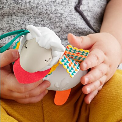 Fisher Price Eğlenceli Arkadaşlar Dişlik ve Çıngıraklar Click Clack Lama (FXC20)