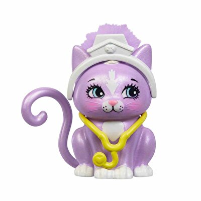 Enchantimals Klinik Oyun Seti HLH22