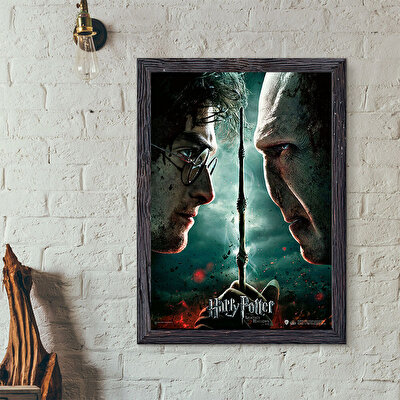 Wizarding World Harry Potter Poster - Deathly Hallows Part 2. Harry Potter vs Voldemort